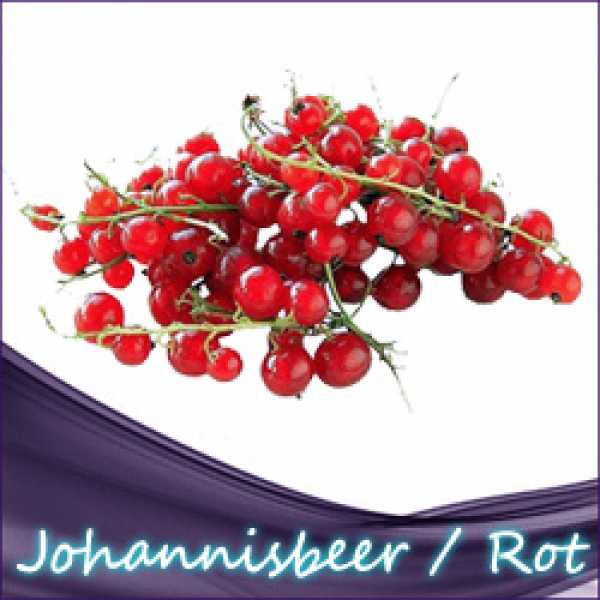 Rote Johannisbeere  Liquid 10ml